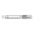 Kodiak Cutting Tools #10-24 Spiral Pt Plug Tap High Vanadium High Speed Steel 5513035